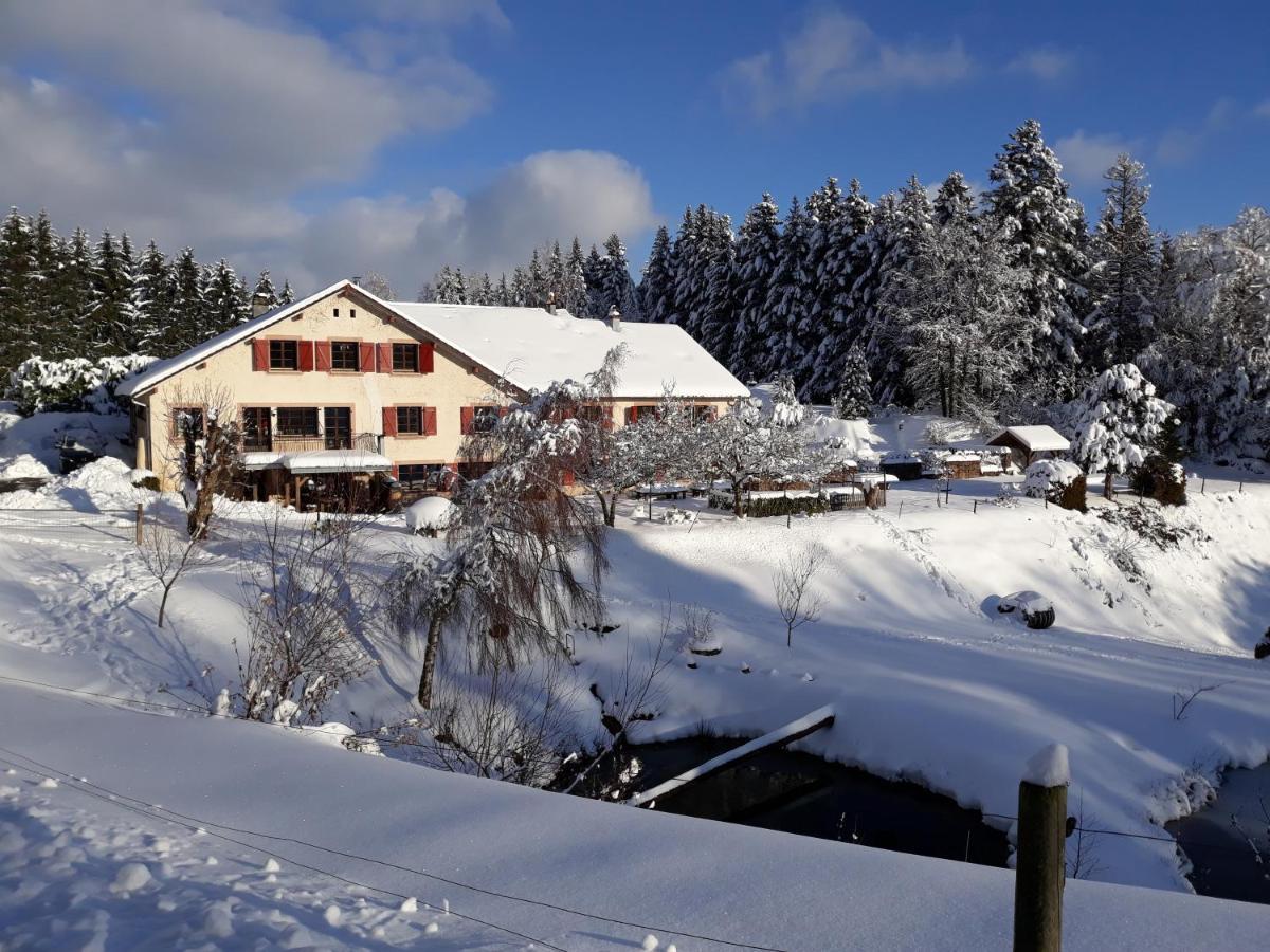 Hotel La Belle Charbonnière La Grande Fosse Esterno foto